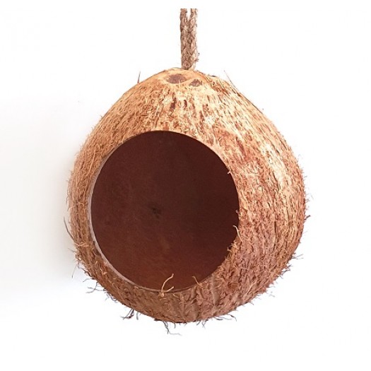 Kokoso kabanti dekoracija - slėptuvė (nepoliruota), 11 cm